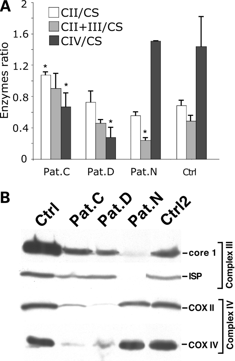 Figure 1.