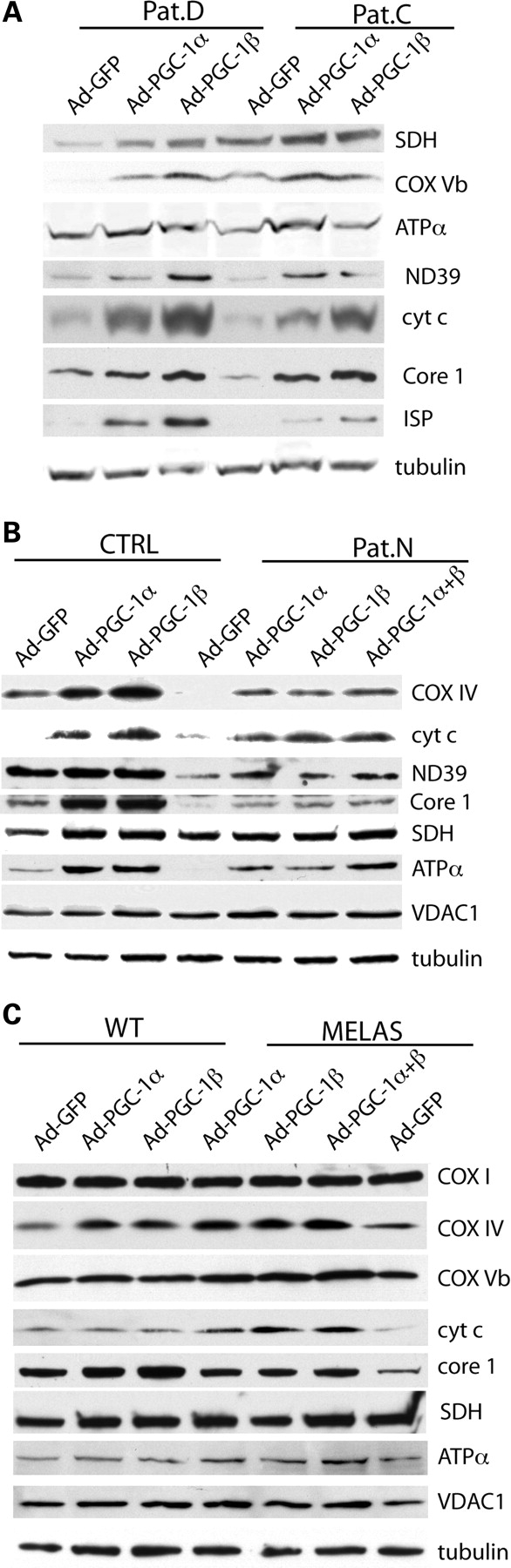 Figure 4.