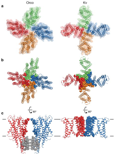 Extended Data Fig. 6