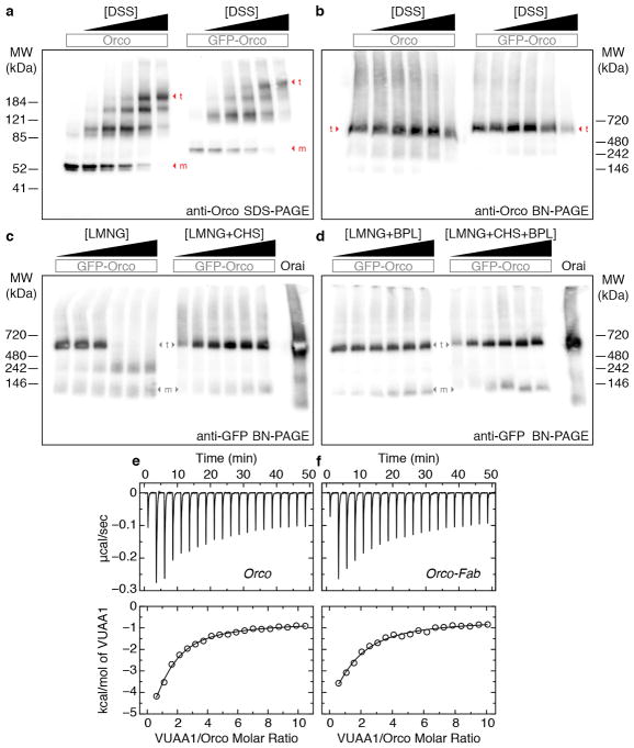 Extended Data Fig. 3