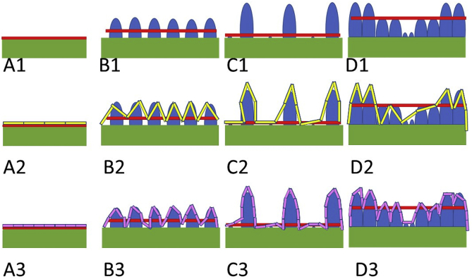 Fig. 2