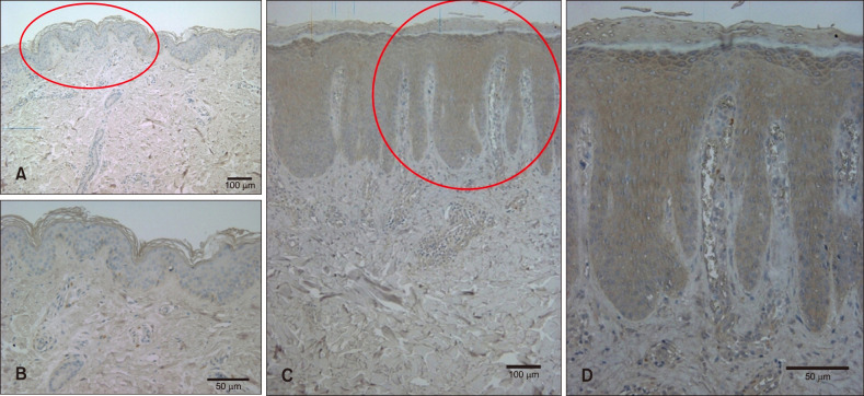 Fig. 9