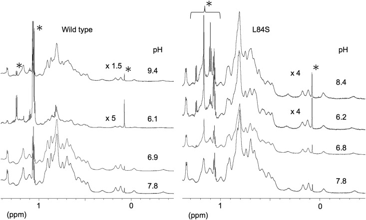 Fig. 3