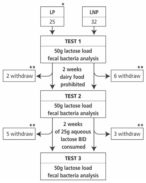 Figure 1)