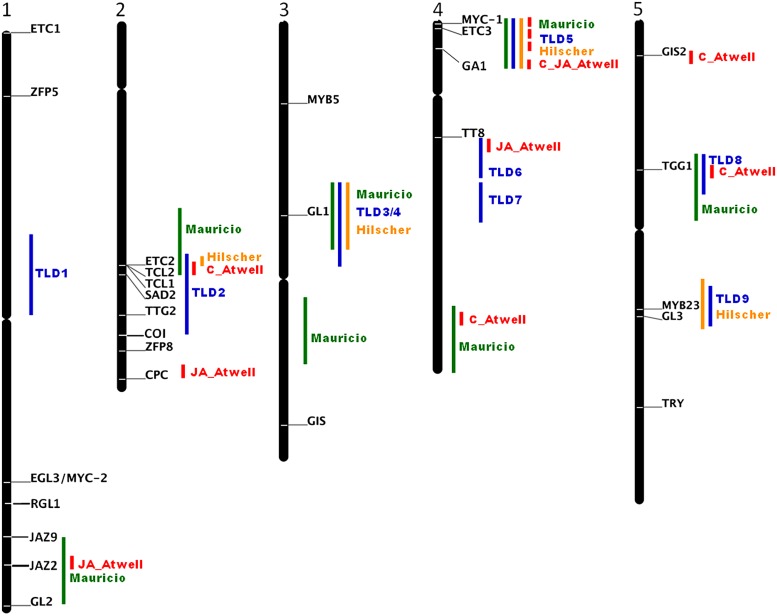 FIGURE 1