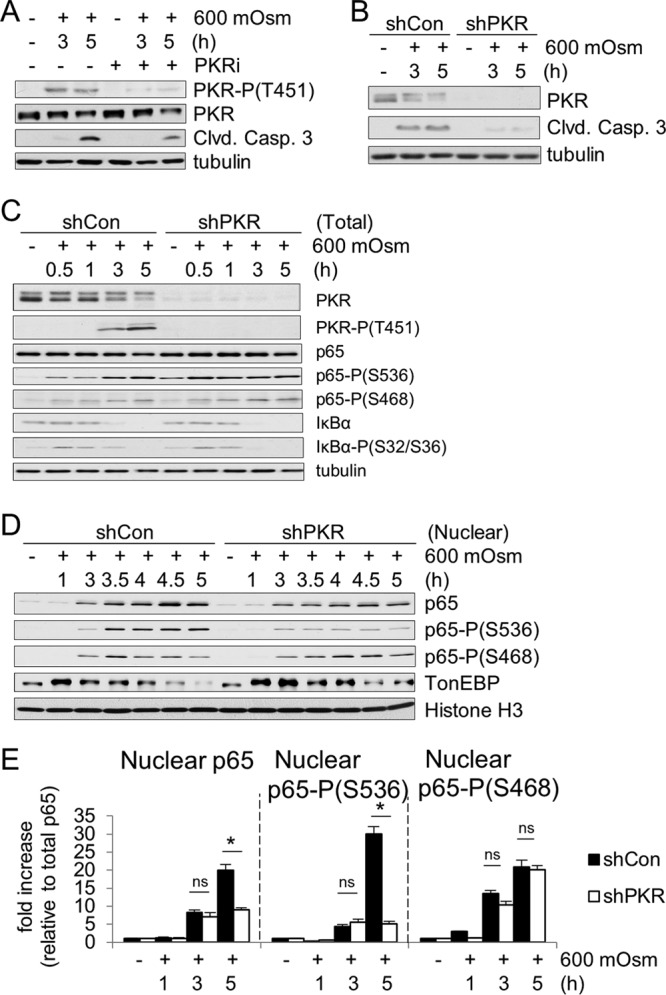 FIG 1