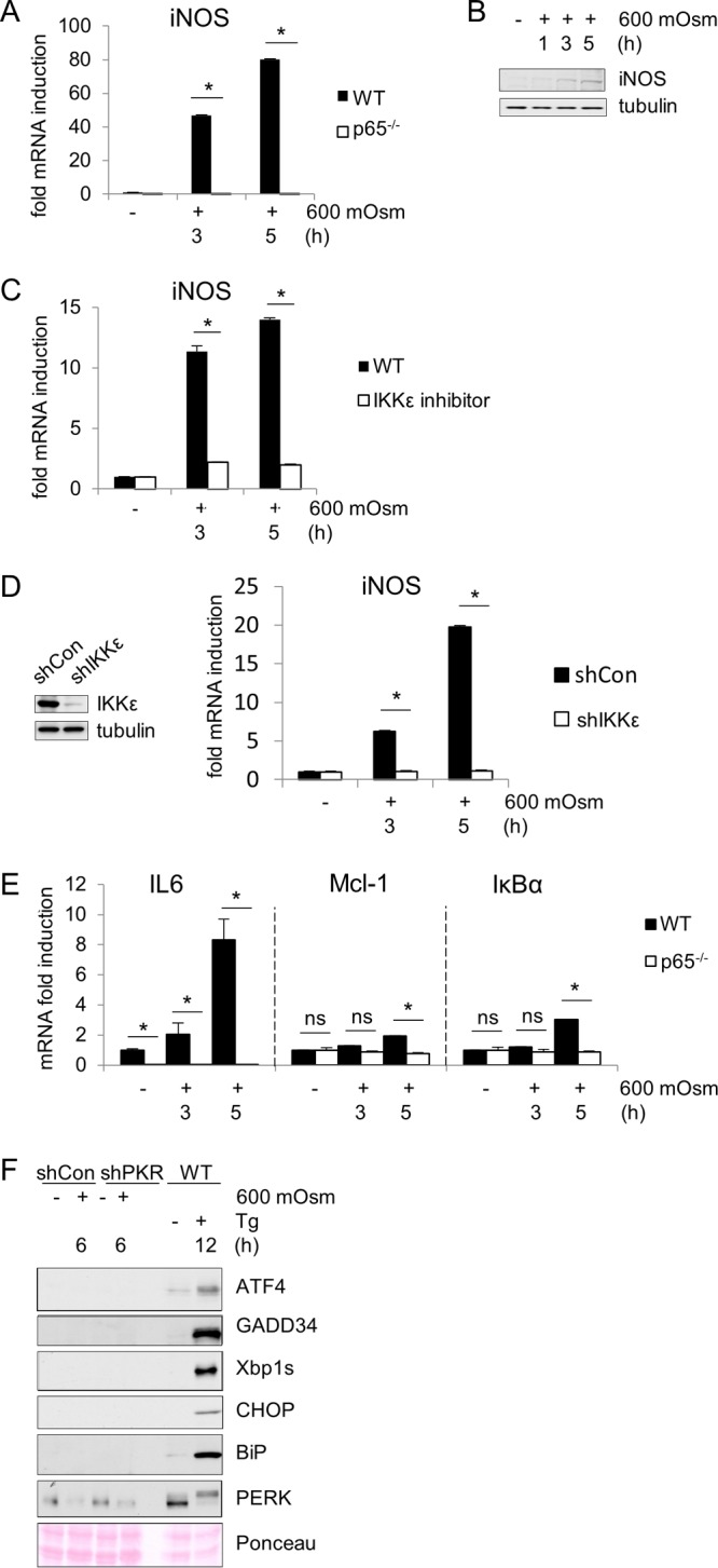 FIG 2