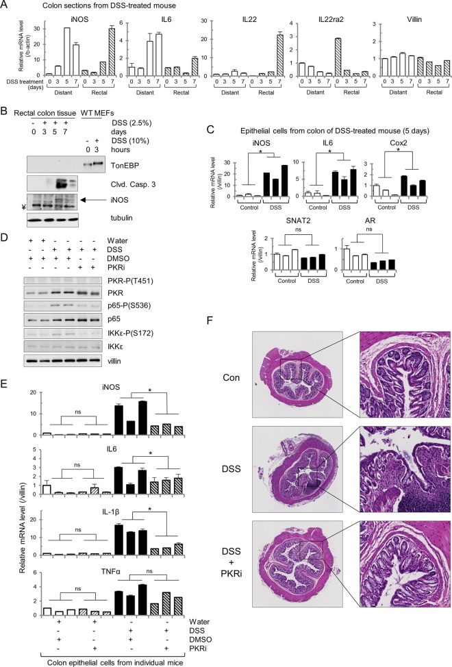 FIG 6