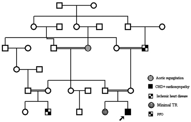 Figure 2.