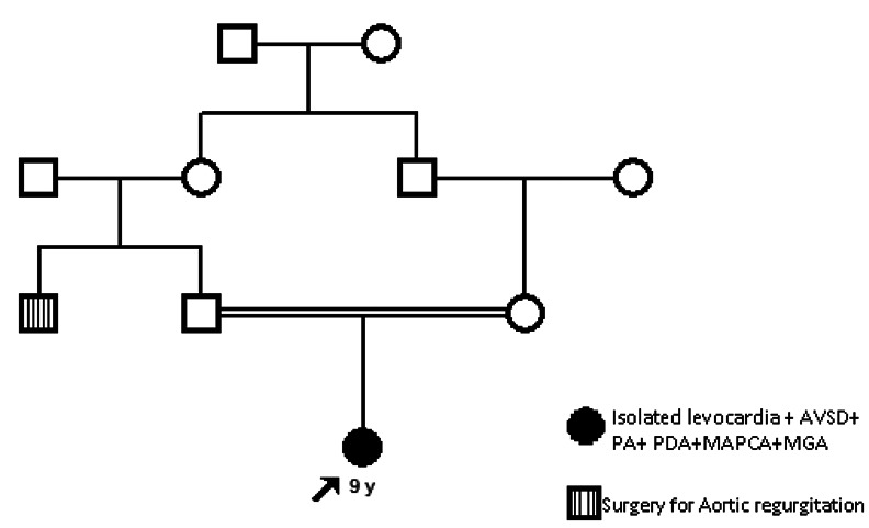 Figure 5.