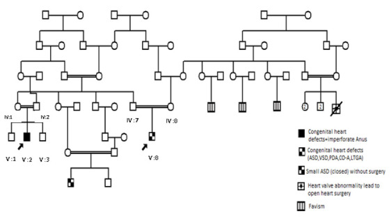 Figure 1.