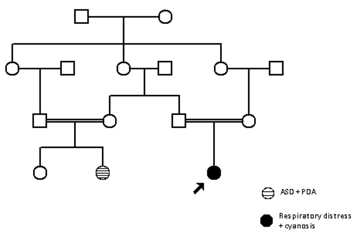 Figure 3.