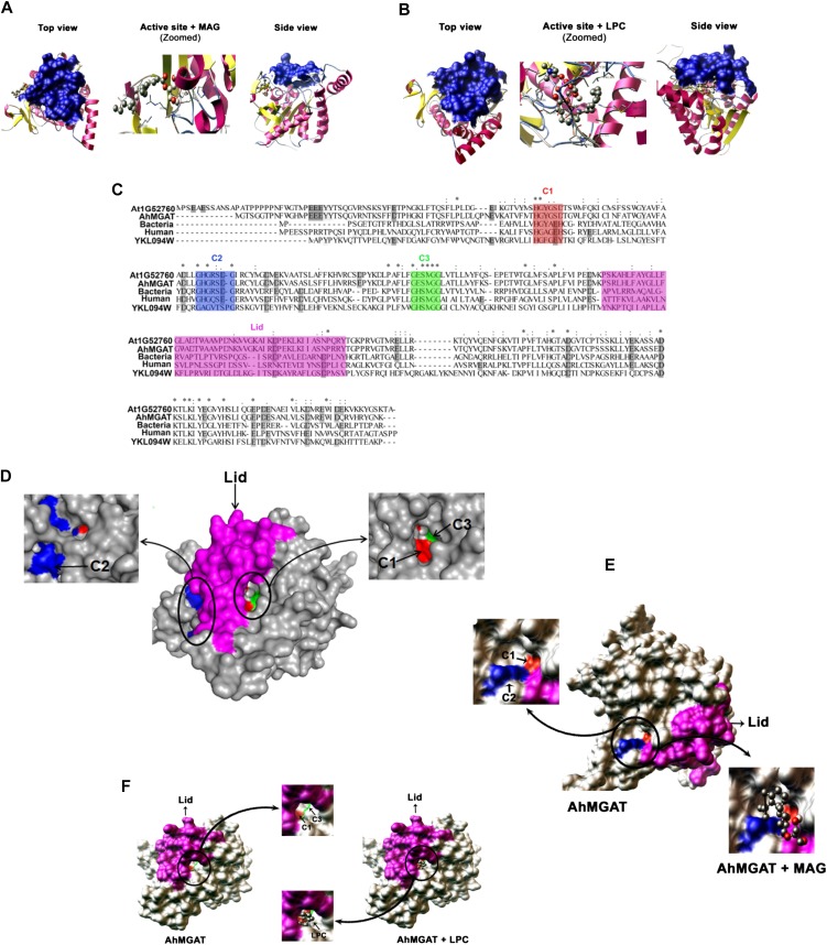 Figure 11.