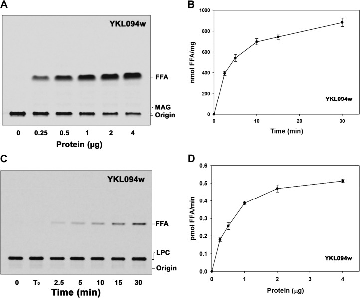 Figure 10.