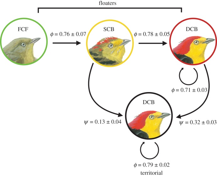 Figure 1.