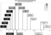 Graphic depiction of Wisconsin working-age adult mortality rates, by subpopulation