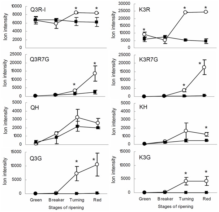 FIGURE 3