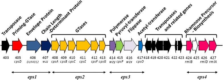 Fig. 1