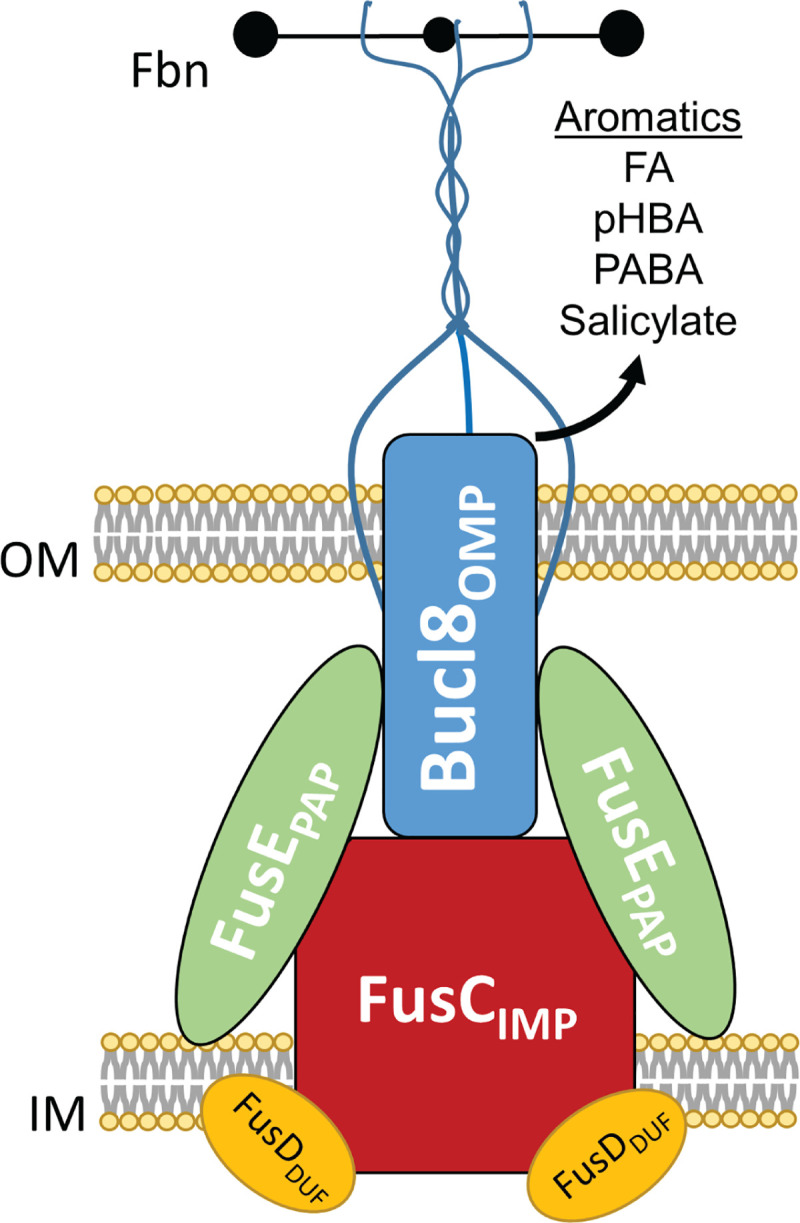 Fig 7