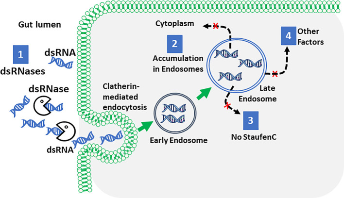 Figure 1