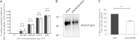 FIG 5