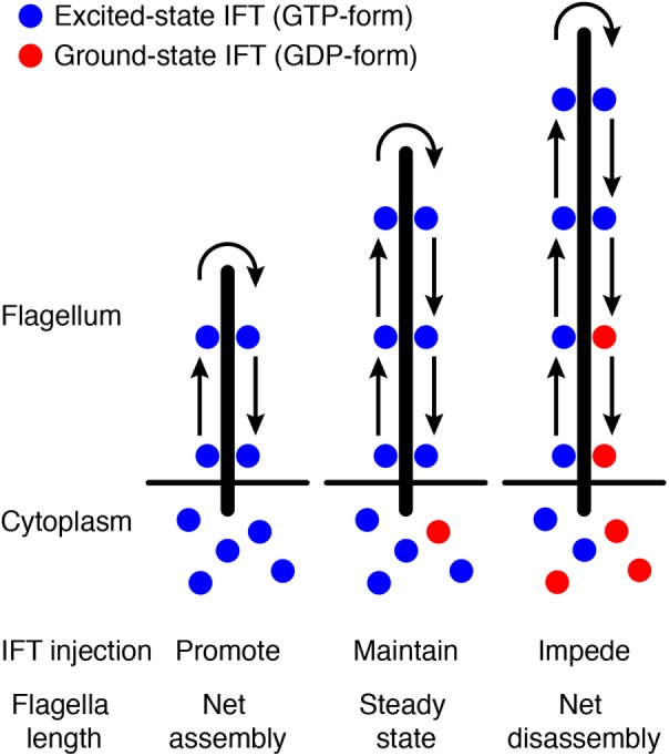 FIGURE 1: