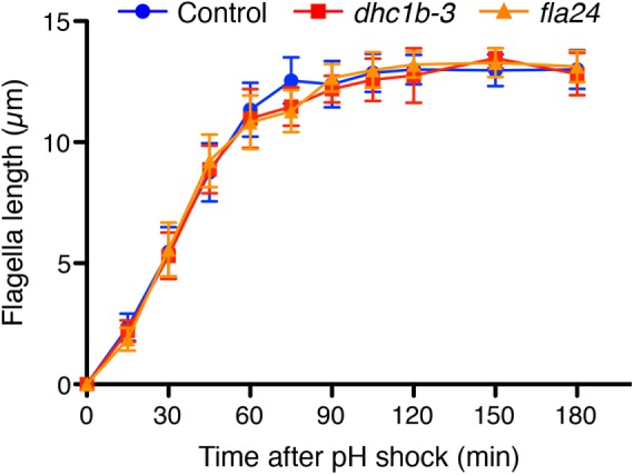 FIGURE 6: