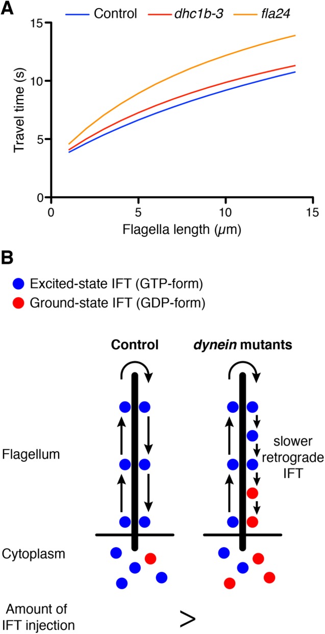 FIGURE 4: