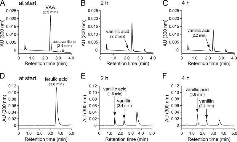 FIG 6