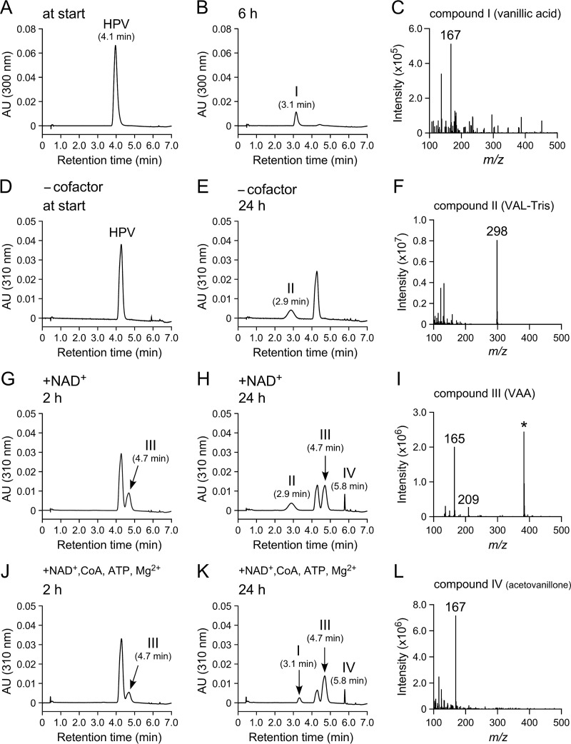 FIG 2