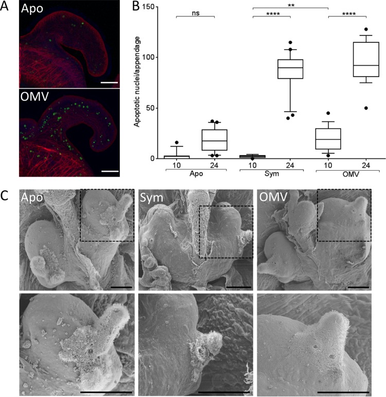 FIG 1