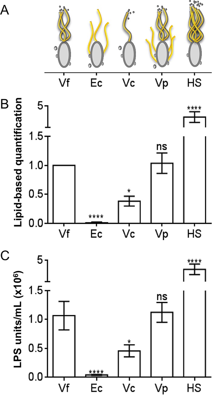 FIG 5