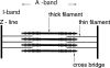 F<sc>igure</sc> 3.