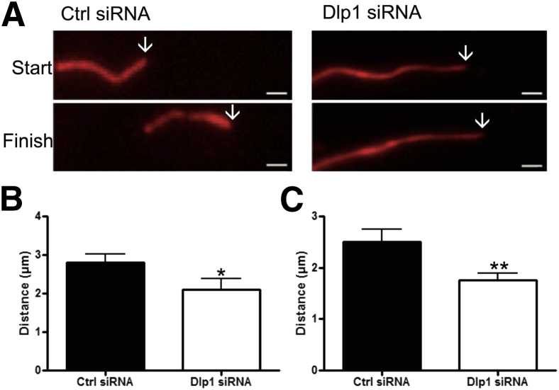 Figure 5