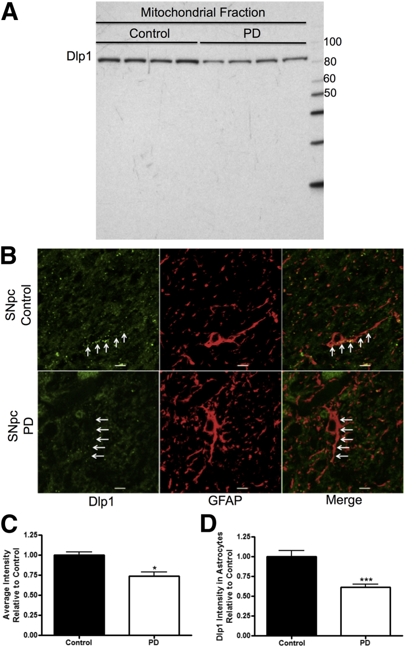 Figure 1