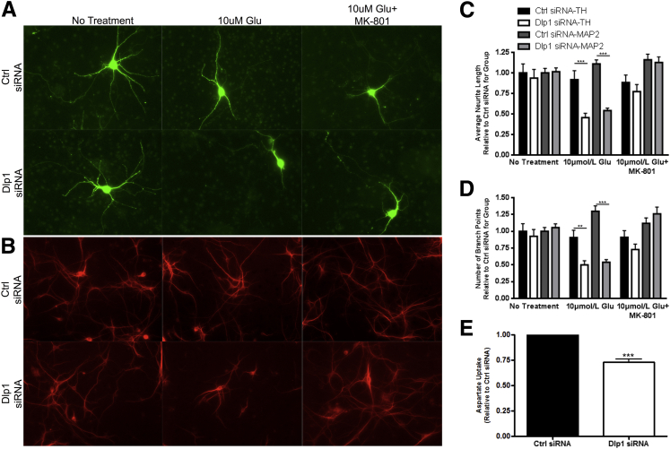 Figure 6