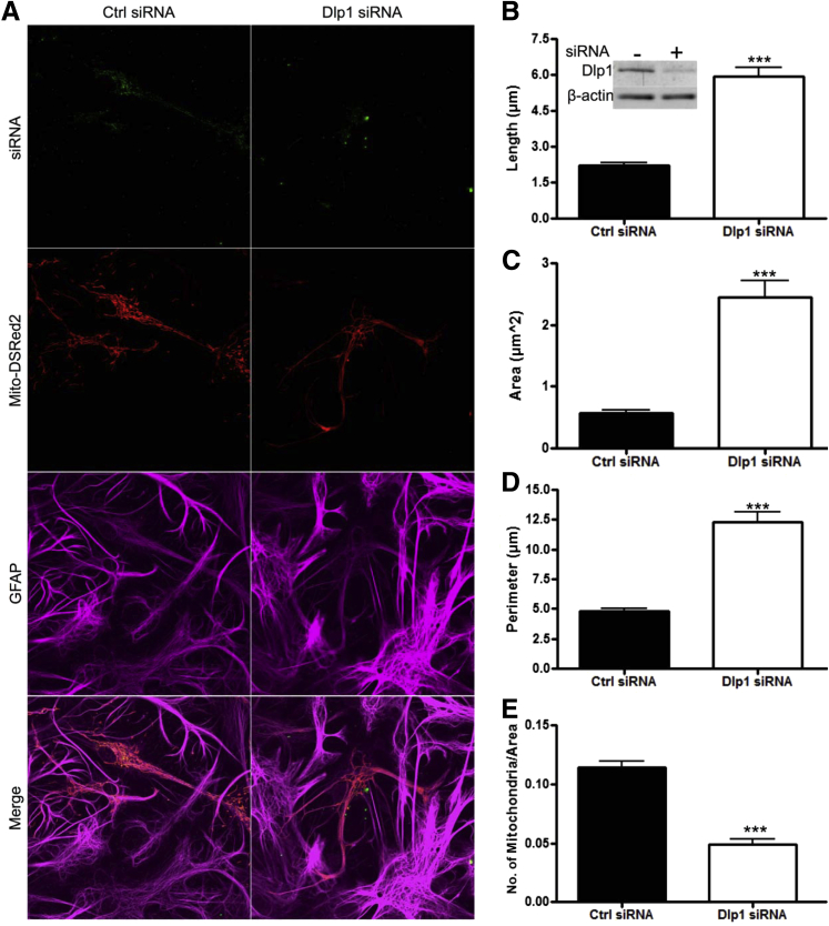 Figure 4