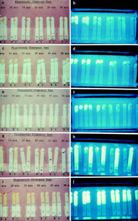 Figure 1  