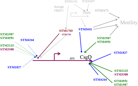 Fig. 8