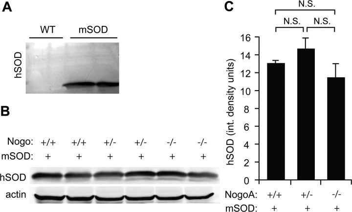 Figure 7.