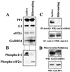 FIG. 7