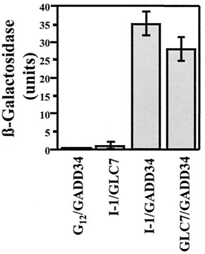 FIG. 1