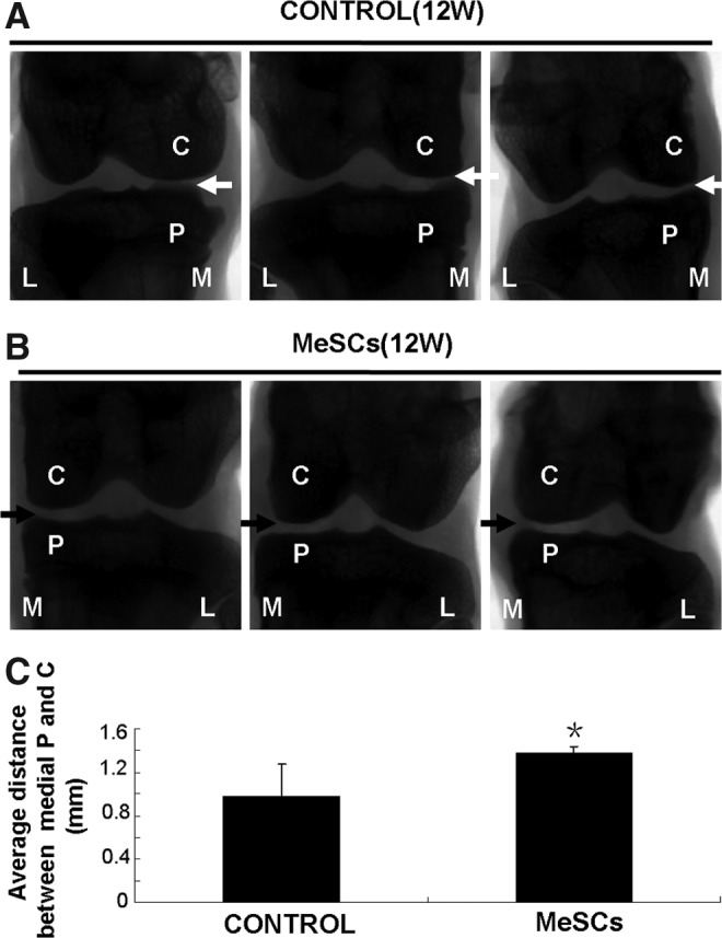 FIG. 6.