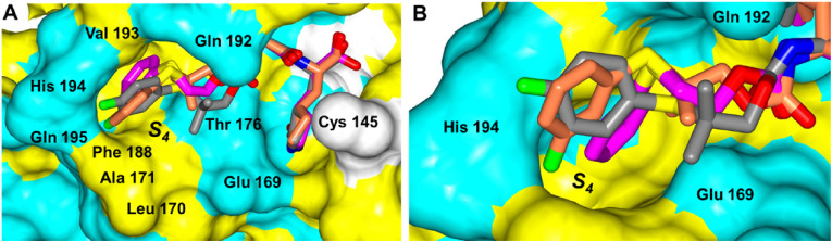 Fig. 3