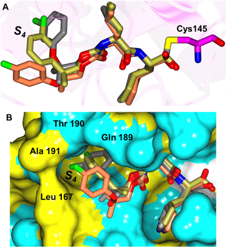 Fig. 10