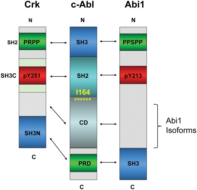 Figure 5.