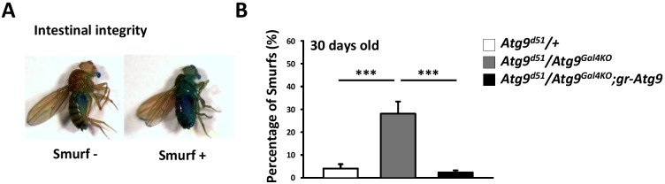 Figure 3—figure supplement 1.