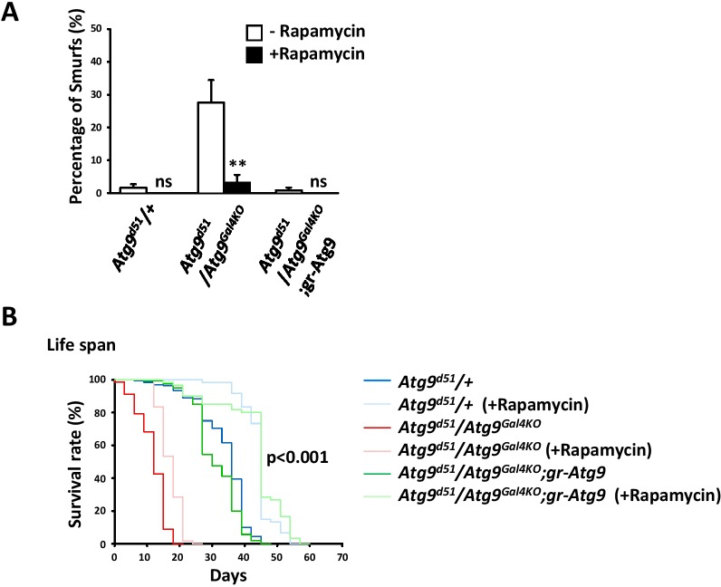 Figure 6—figure supplement 1.