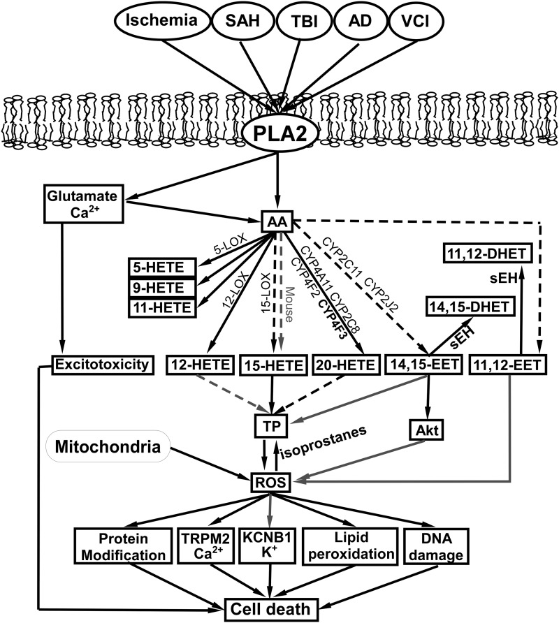 FIG. 6.