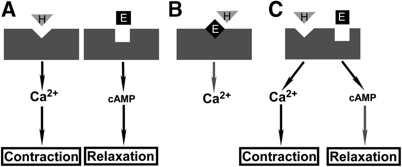 FIG. 4.